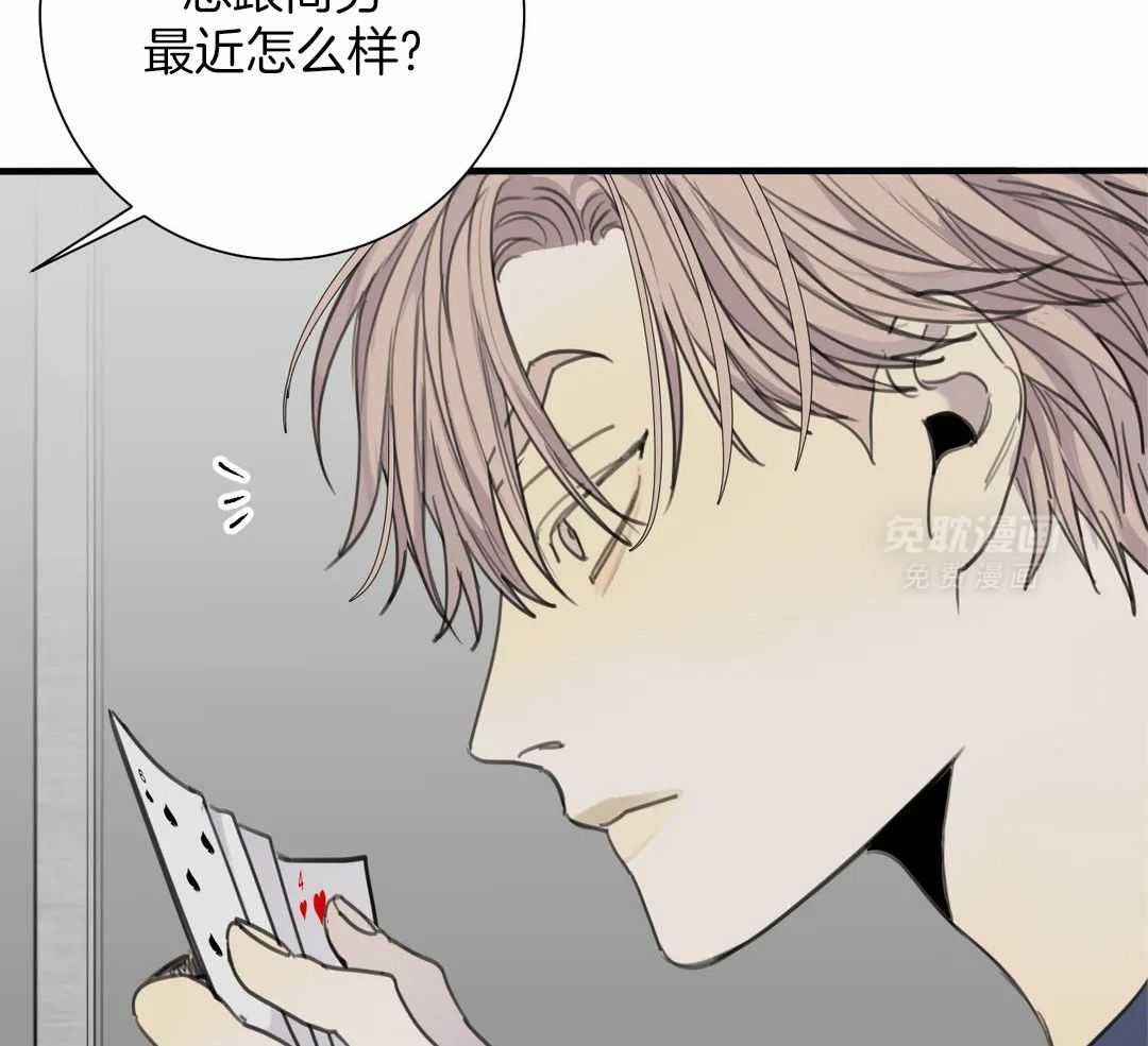 疯狂的毒第80话图