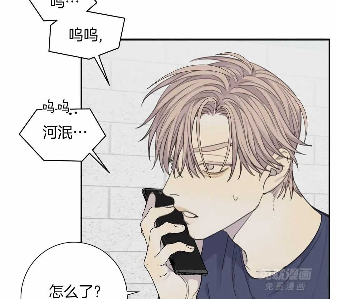 疯狂的毒第81话图