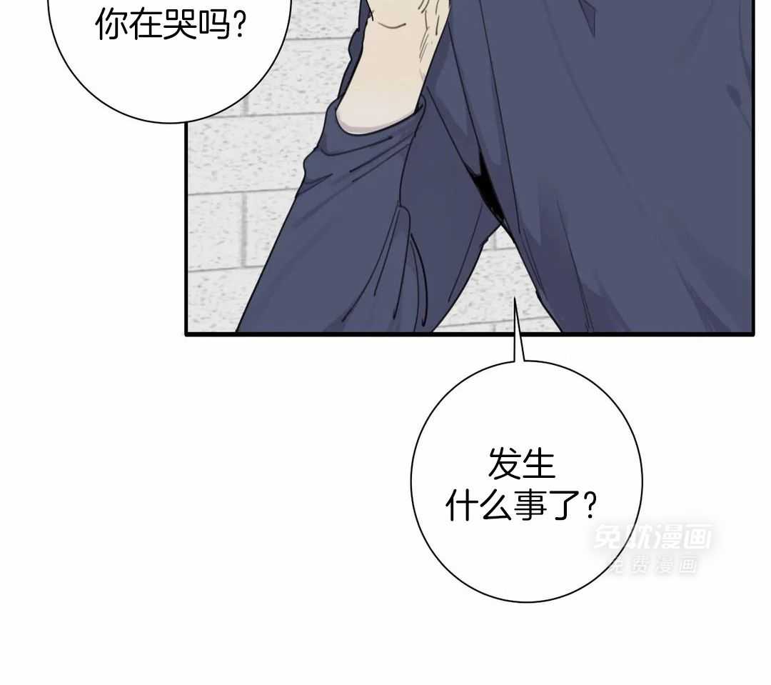 疯狂的毒第81话图