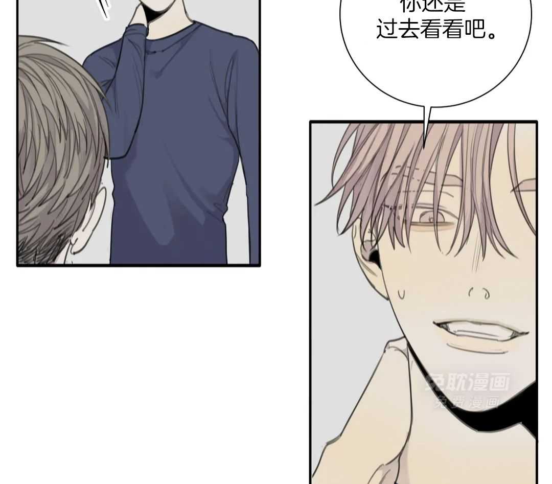 疯狂的毒第82话图