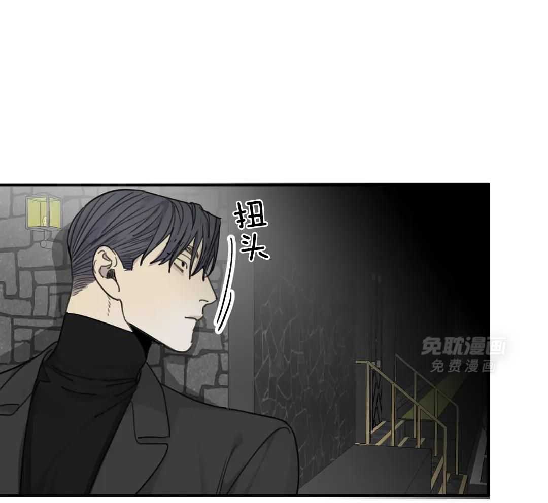 疯狂的毒第96话图