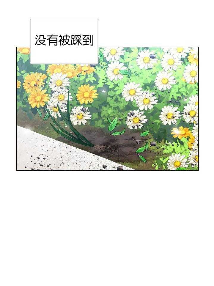 疯批殿下的虐爱第26话图