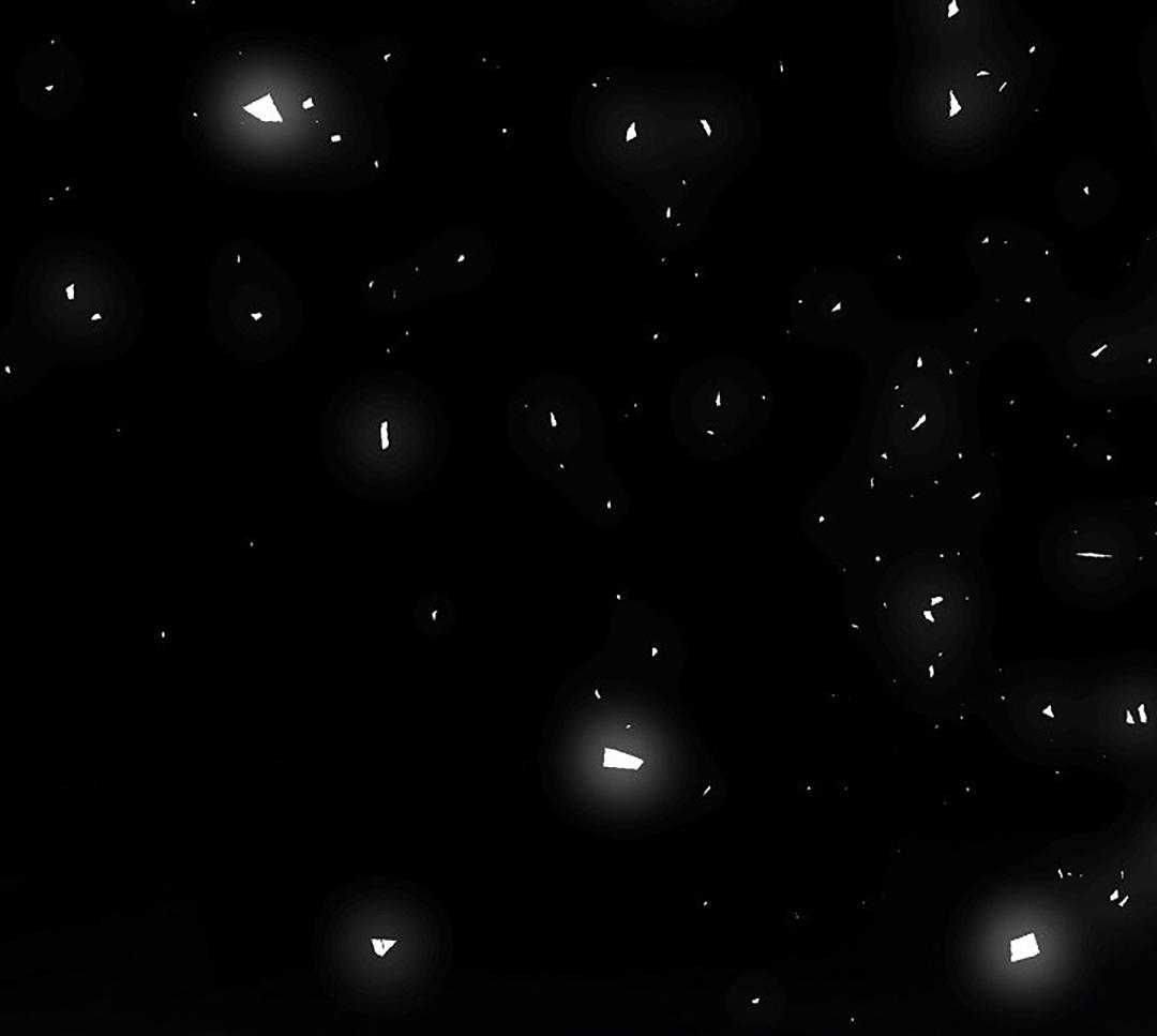 疯批殿下的虐爱 第98话 第56页