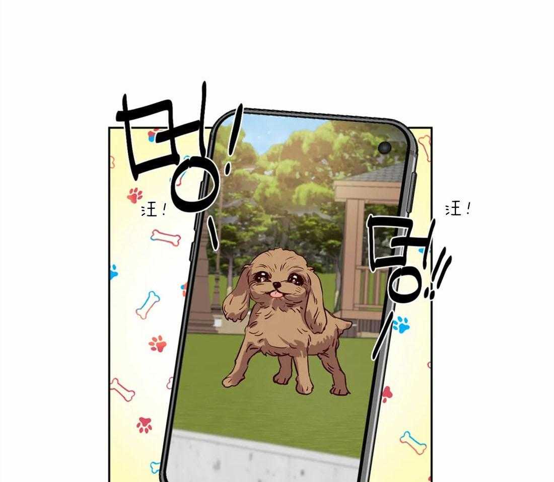 疯狂的地方第40话图