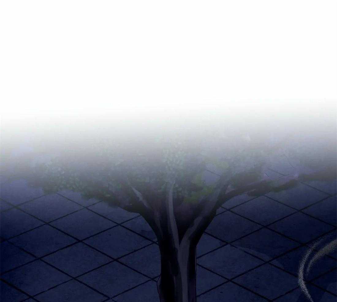 疯狂的地方第51话图