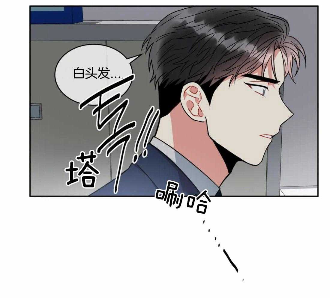 疯狂的地方第61话图