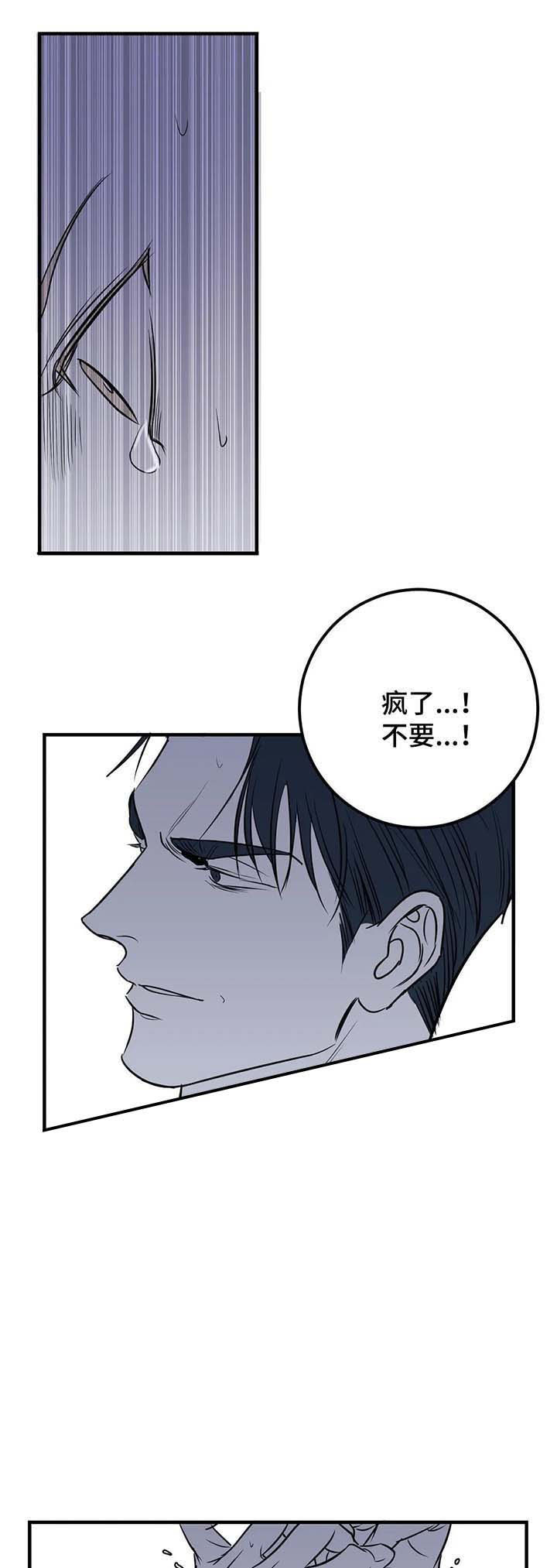 复合的躯体第49话图