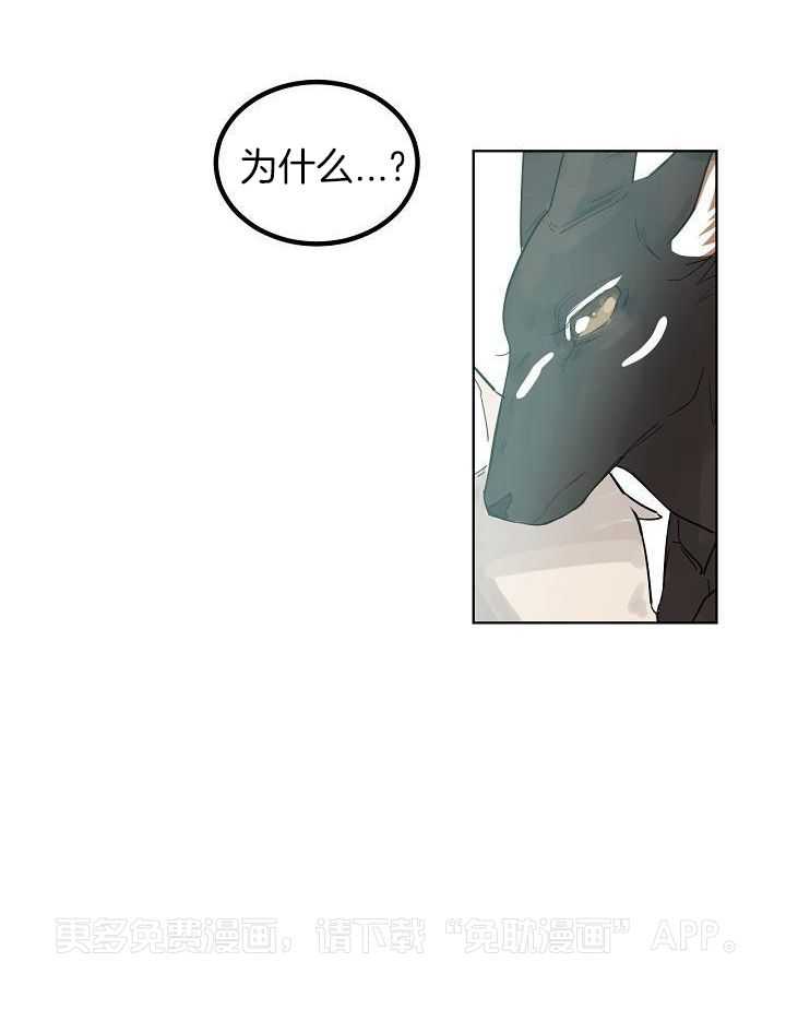 非人病症第62话图