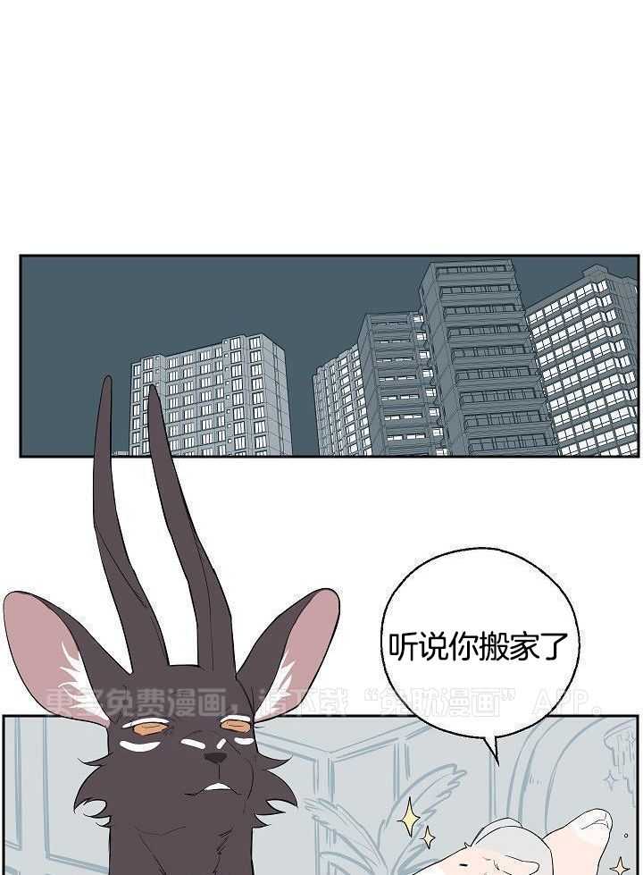 非人病症第80话图