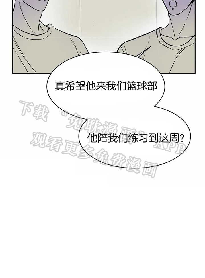 费洛蒙倒置第17话图