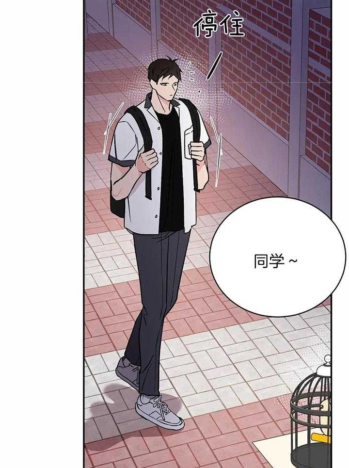 费洛蒙倒置第35话图