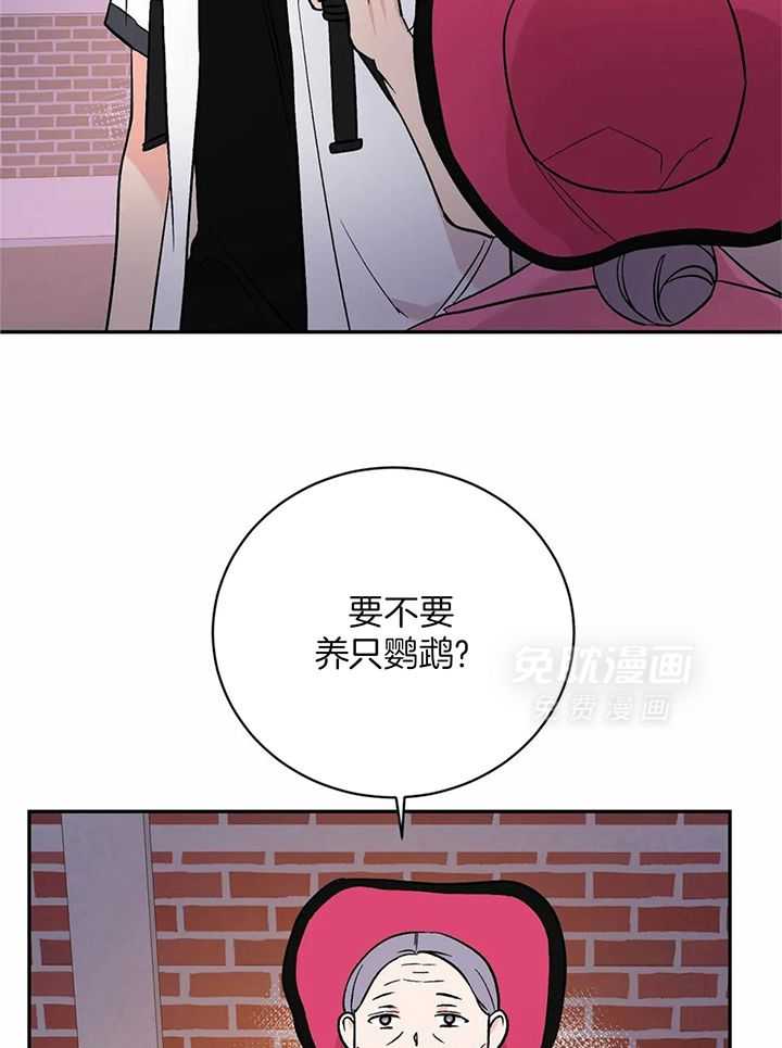费洛蒙倒置第35话图