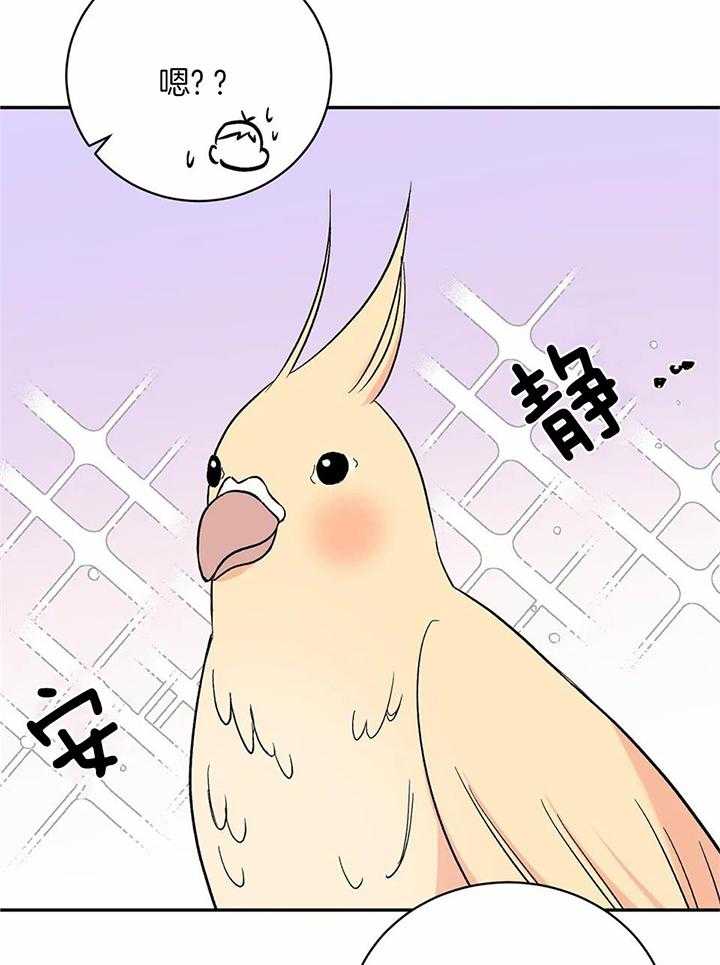 费洛蒙倒置第35话图