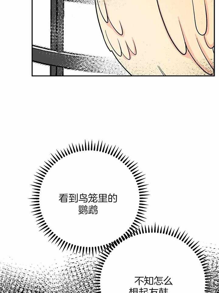 费洛蒙倒置第35话图