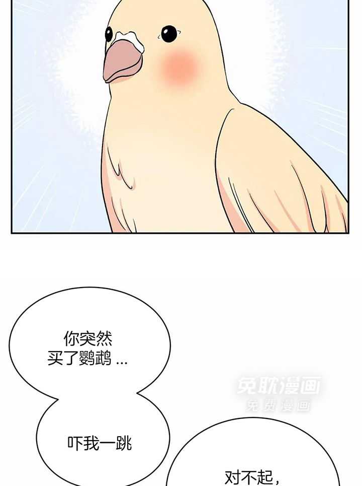 费洛蒙倒置第35话图