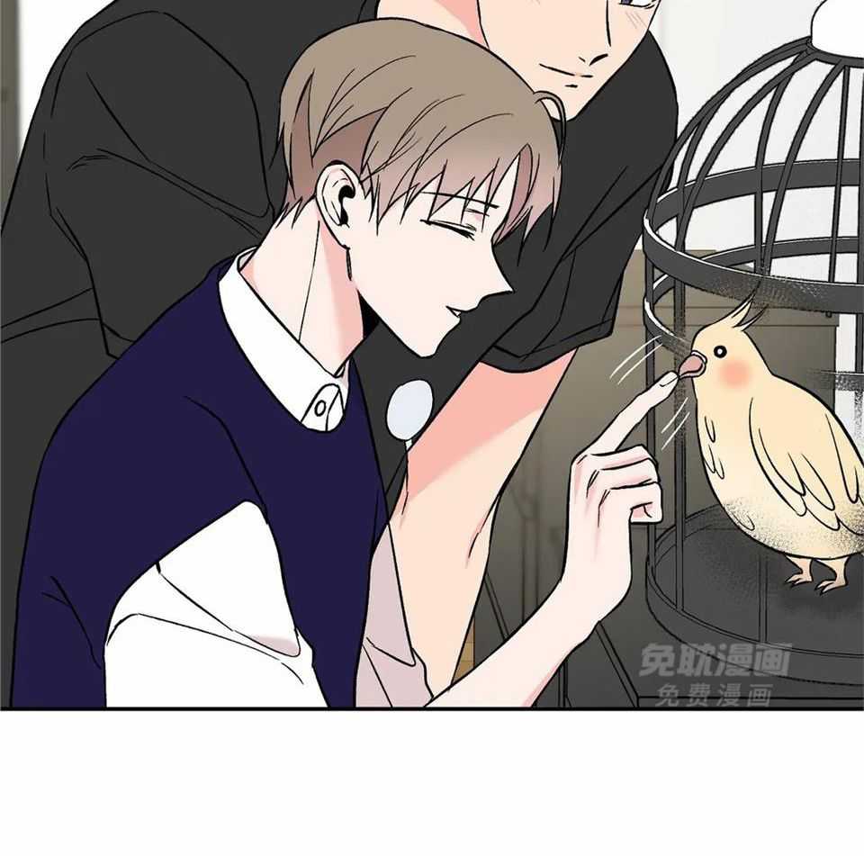 费洛蒙倒置第35话图