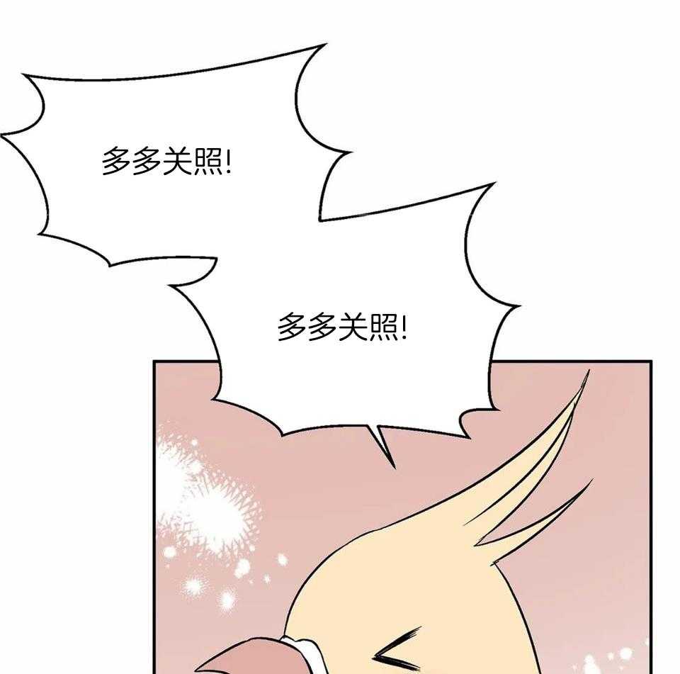 费洛蒙倒置第35话图