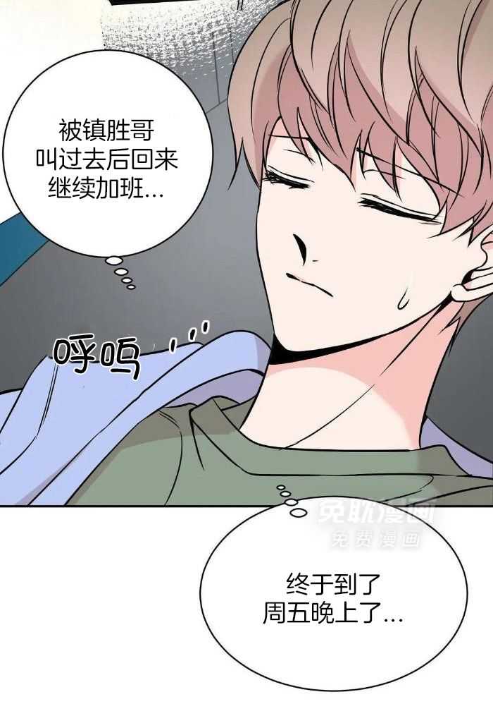 费洛蒙倒置第61话图
