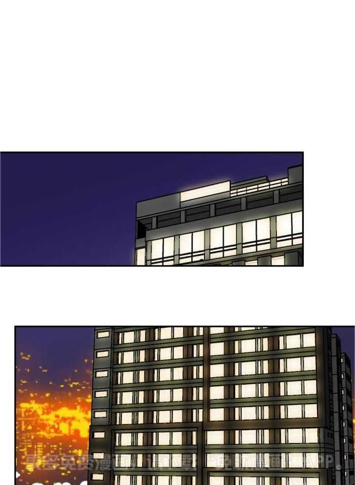 费洛蒙倒置第62话图