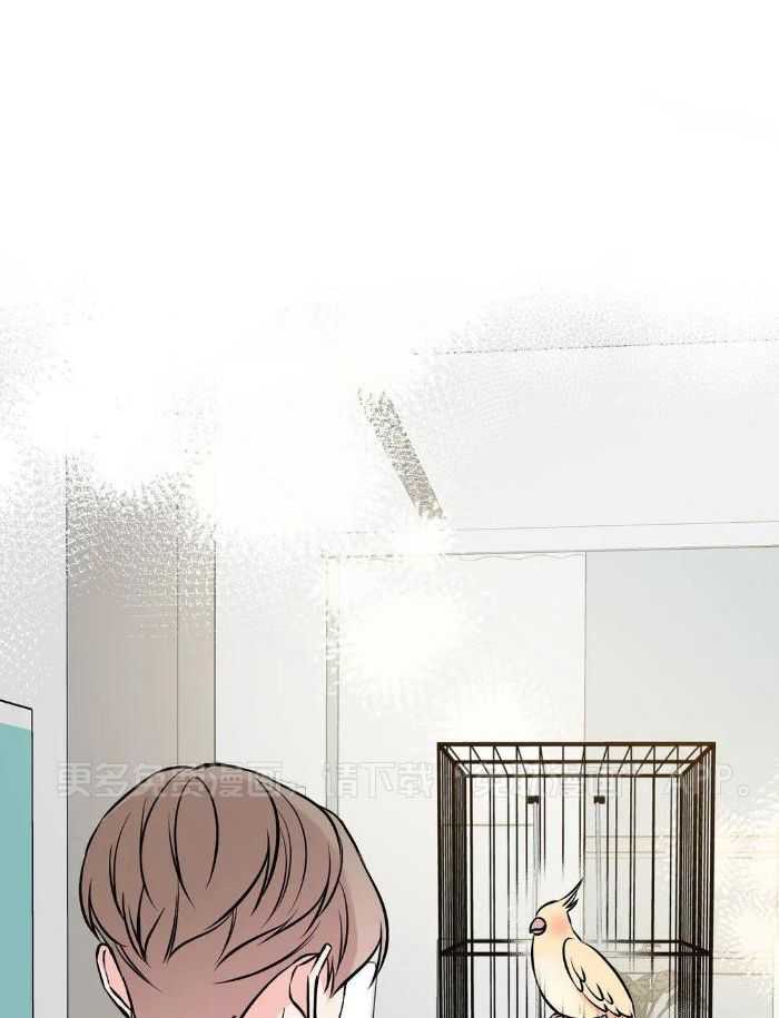 费洛蒙倒置第65话图