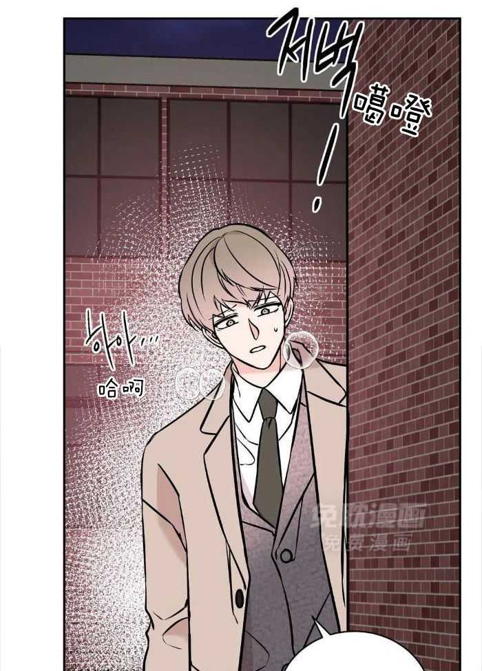 费洛蒙倒置第66话图