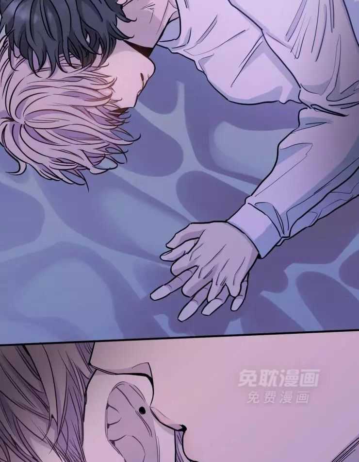 疯子的法则第14话图