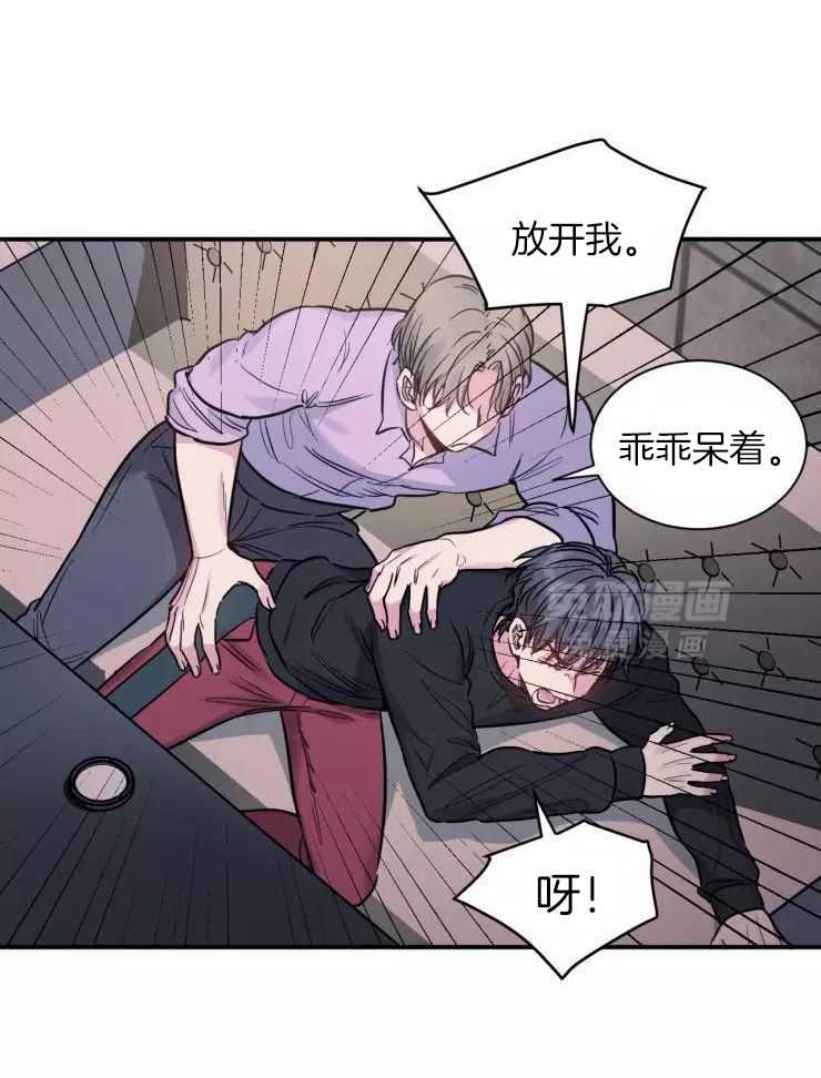 疯子的法则第22话图