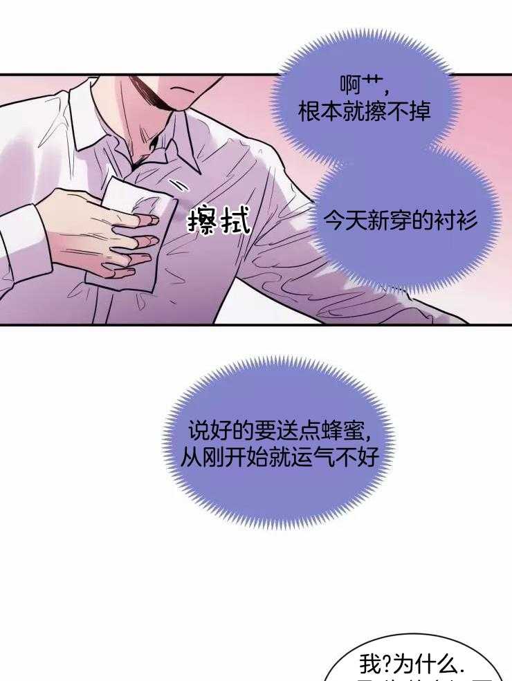 疯子的法则第5话图