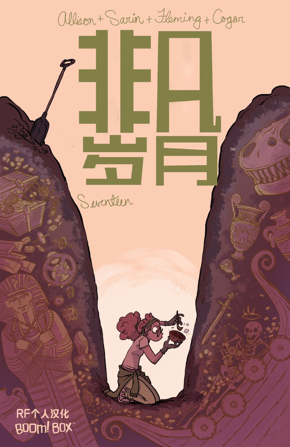 非凡岁月17卷图