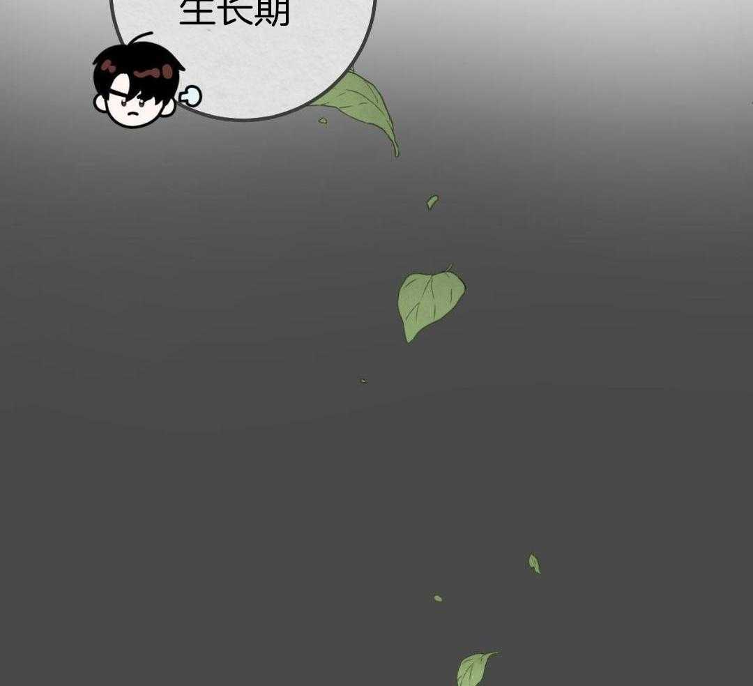 复活后大佬超粘我第10话图