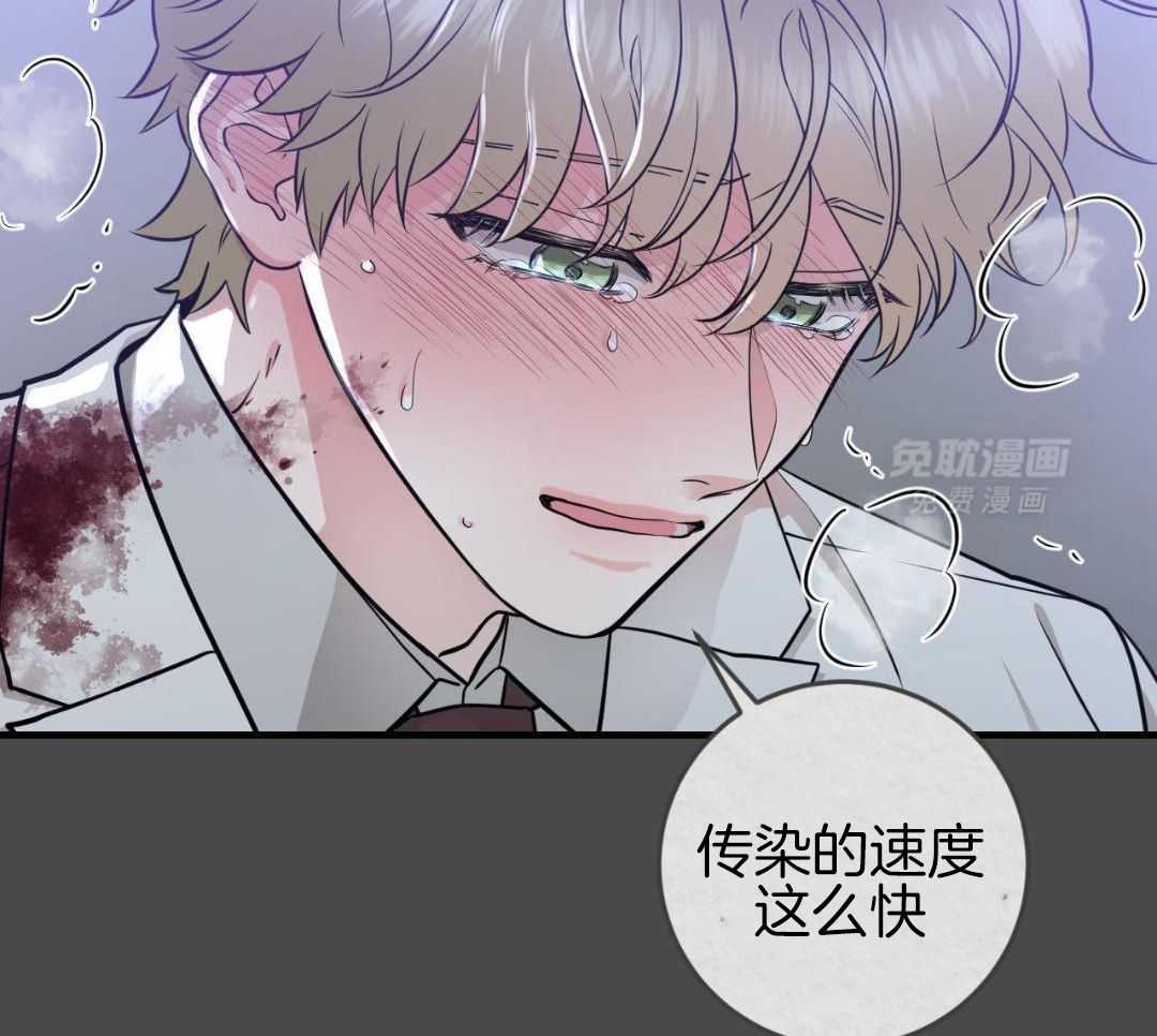 复活后大佬超粘我第11话图