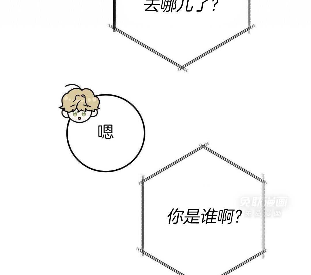 复活后大佬超粘我第19话图