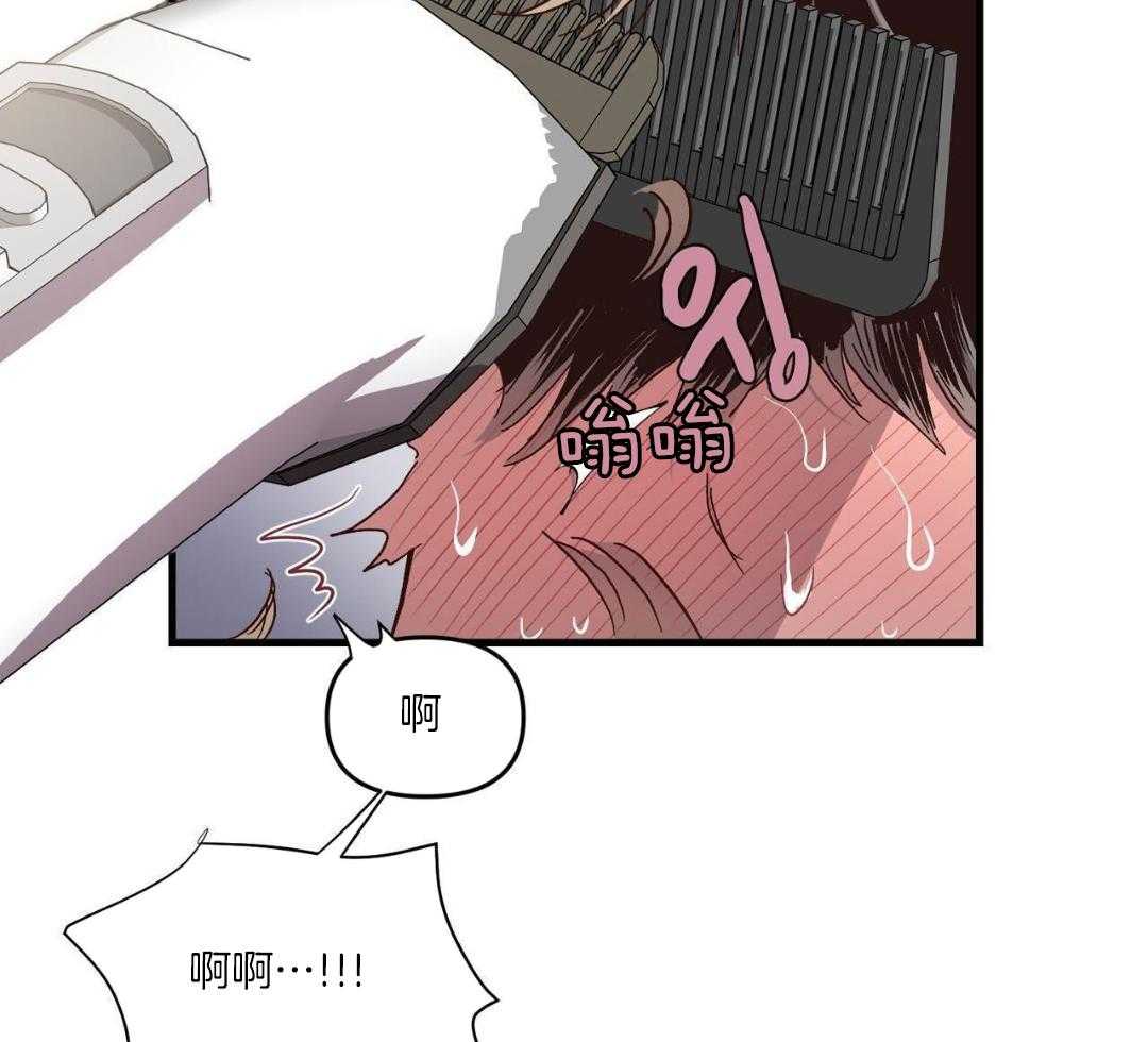 发内隐情第10话图
