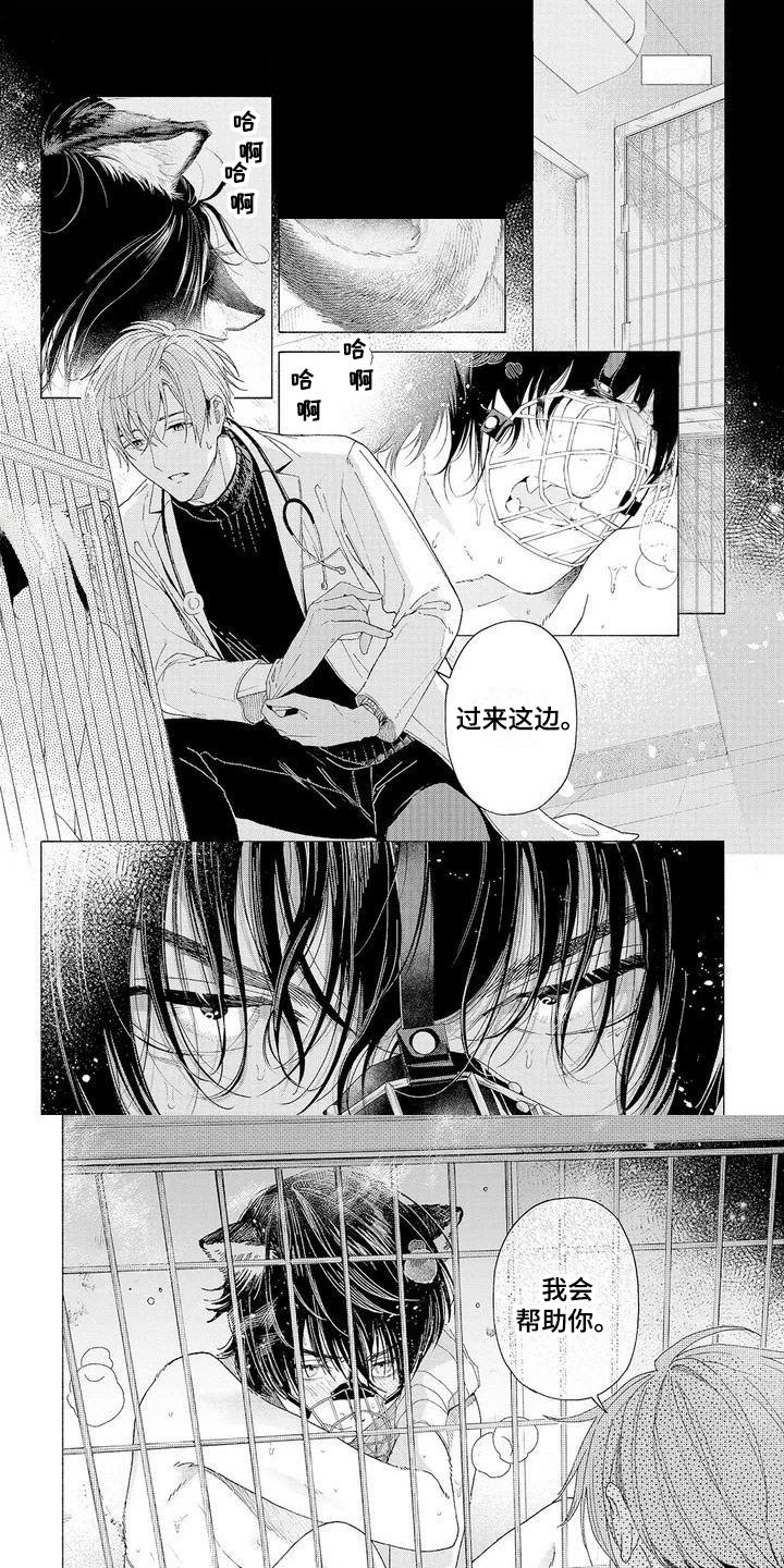 服从吧狼少年第1话图