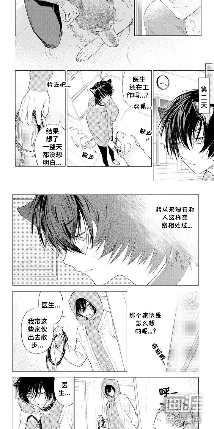 服从吧狼少年第10话图