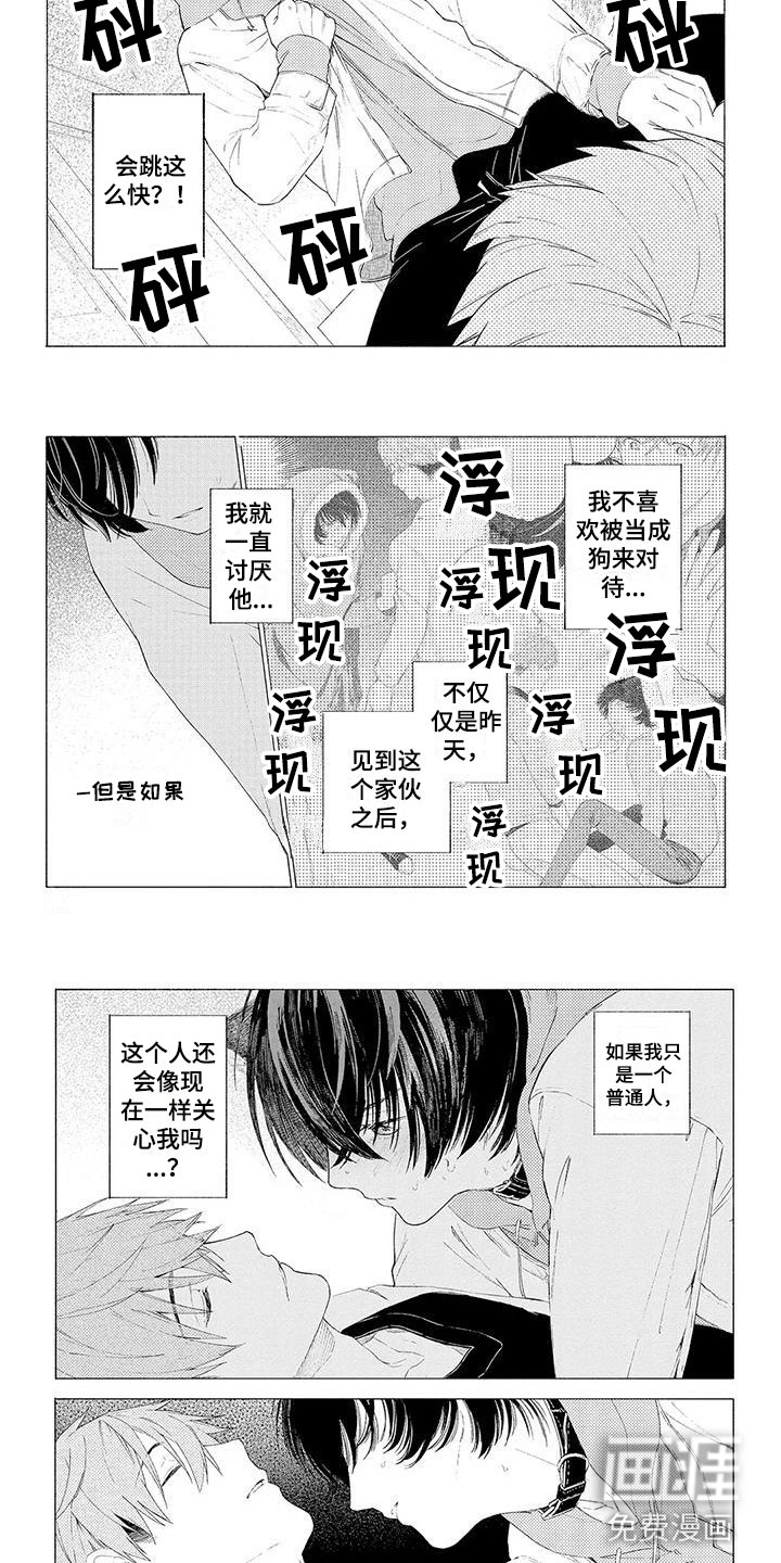 服从吧狼少年第10话图