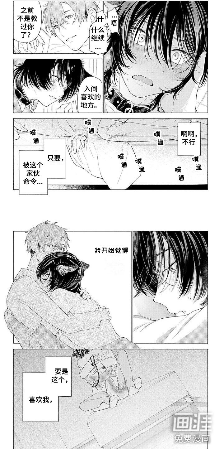 服从吧狼少年第10话图