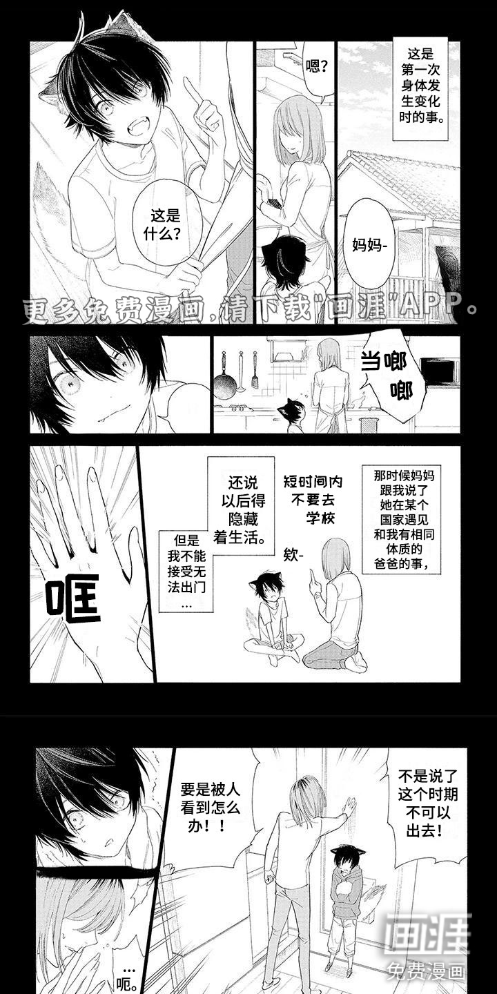 服从吧狼少年第12话图