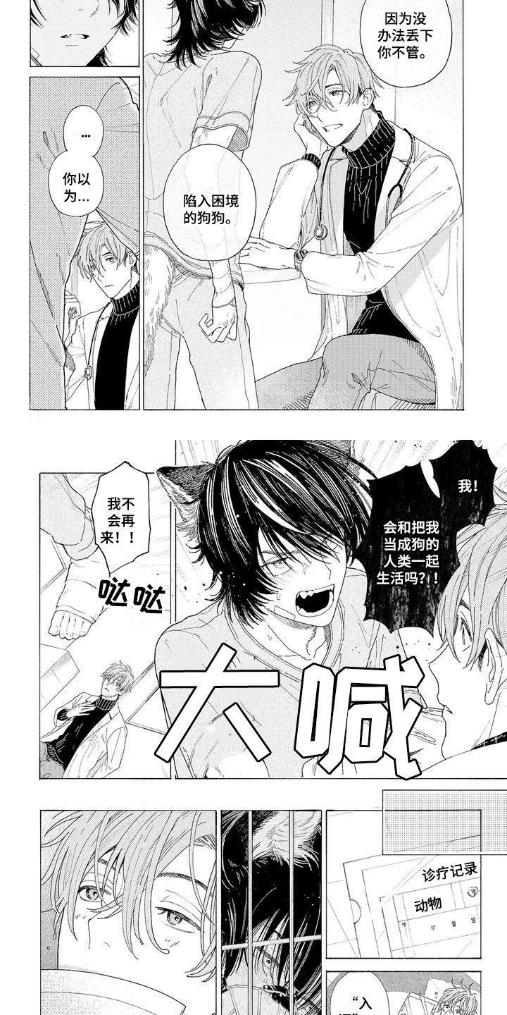 服从吧狼少年第2话图