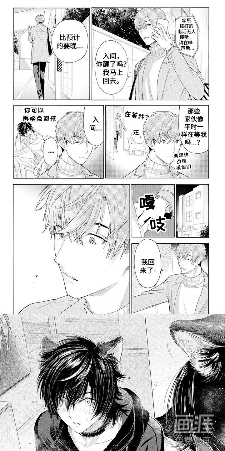 服从吧狼少年第8话图