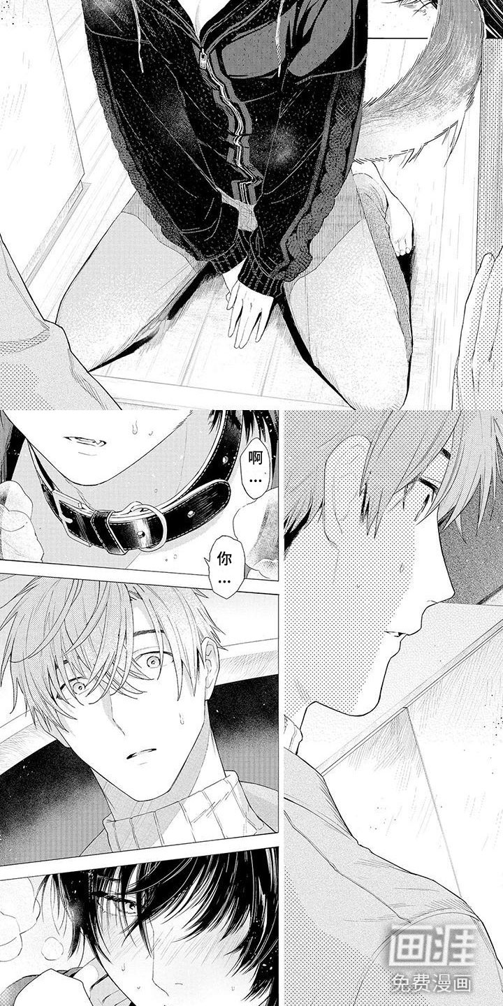 服从吧狼少年第8话图