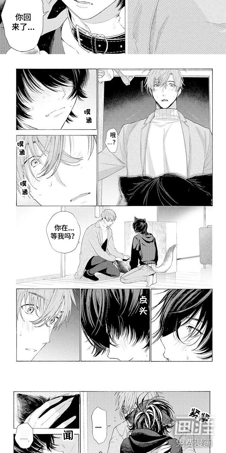 服从吧狼少年第8话图