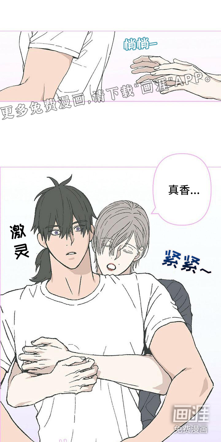 粉丝书信第12话图