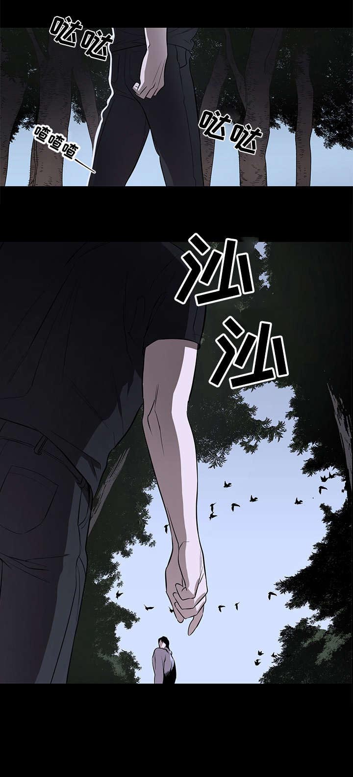 飞鸟归巢第1话图