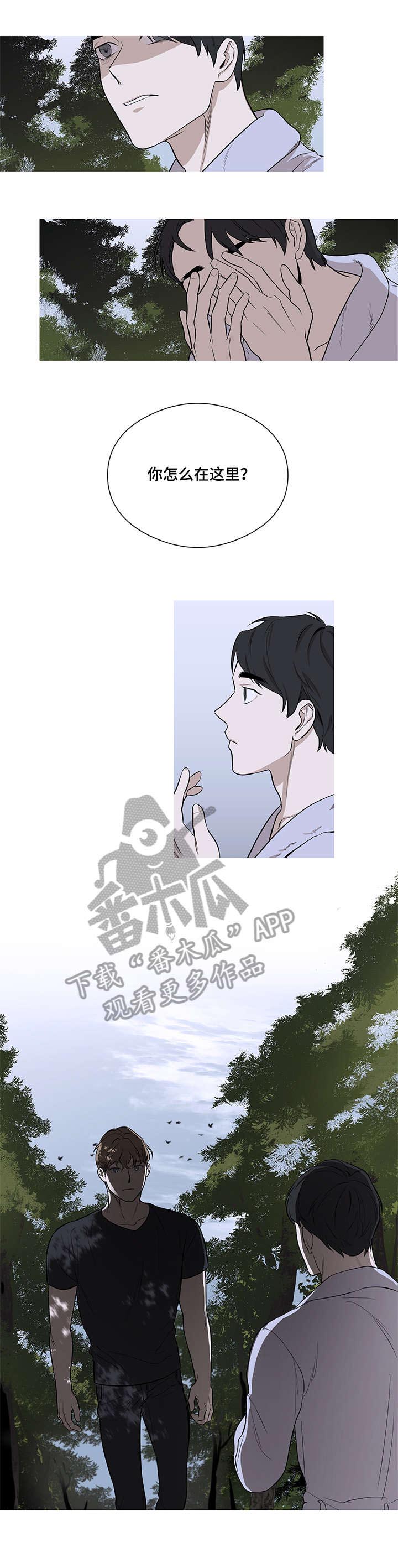 飞鸟归巢第12话图