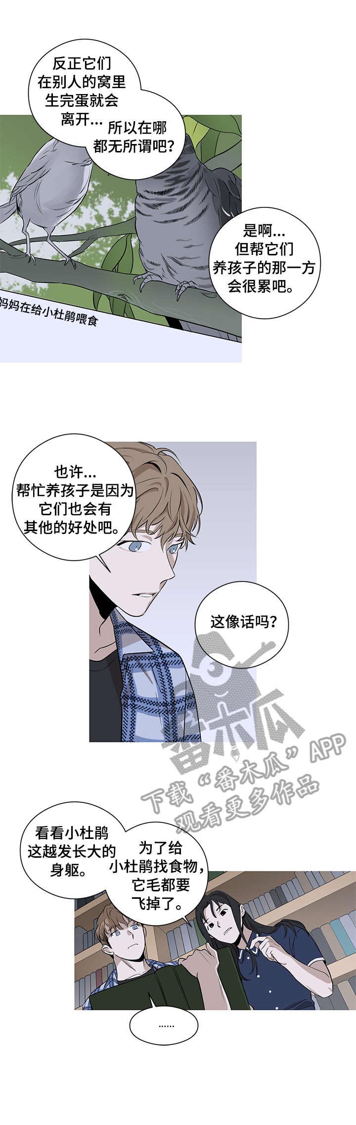 飞鸟归巢第3话图