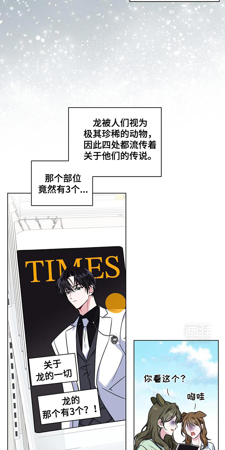 弗林的狐狸饮料第19话图