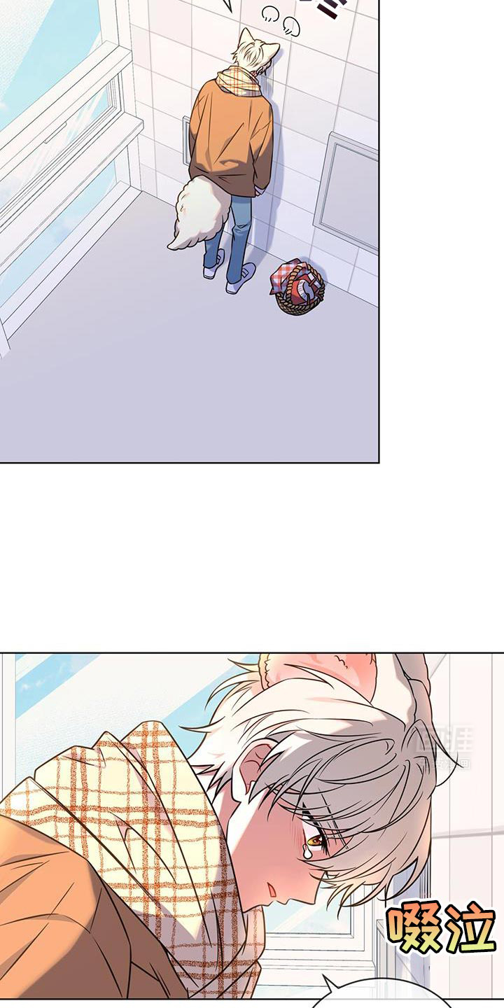 弗林的狐狸饮料第22话图