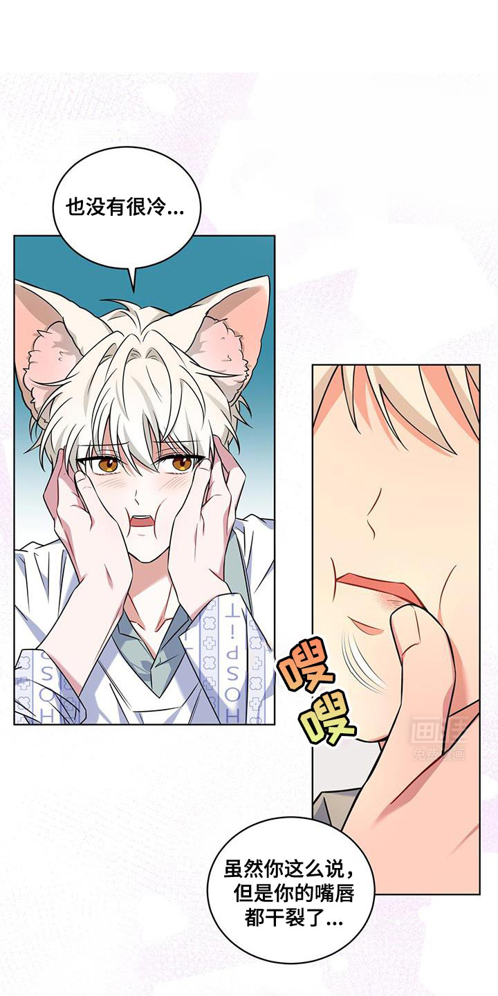 弗林的狐狸饮料第31话图