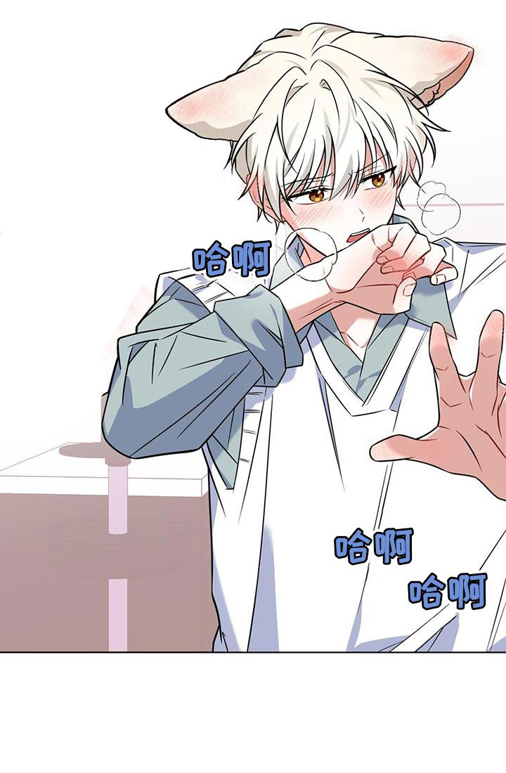 弗林的狐狸饮料第31话图